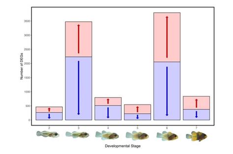 In hot water: Ocean warming impacts growth, metabolic rate …