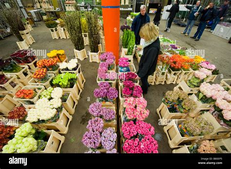 In season at the Flower Market this August New Covent Garden Market