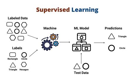 In supervised learning what is the purpose of the testing dataset.  Jan 31, 2026...