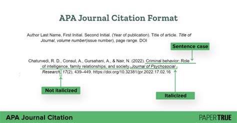 In text citation journal