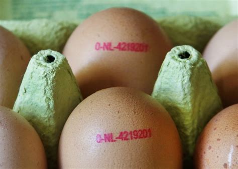 In the EU’s inflation crisis, the humble egg takes the cake