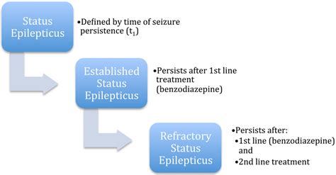 In the Established Status Epilepticus