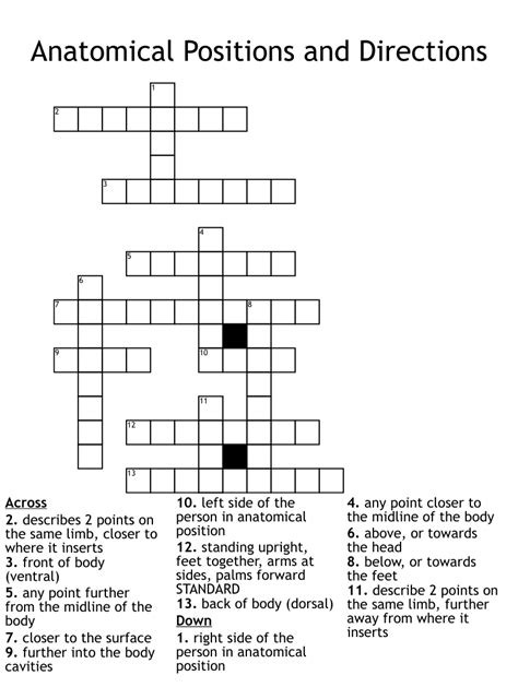 Feb 2, 2022 · We have got the solution for the Bottom-first birth position crossword clue right here. This particular clue, with just 6 letters, was most recently seen in the New York Times on February 2, 2022. . 