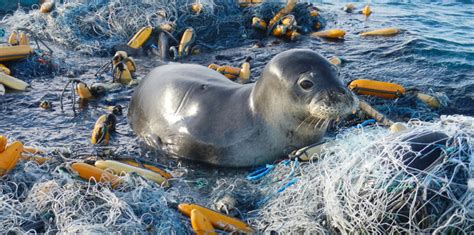 In the fishing industry, gear recycling is finally catching on