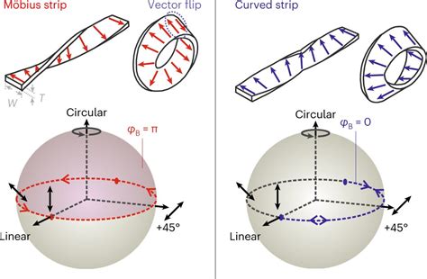 In topology, a surface like a Möbius strip, but with no boundary ...