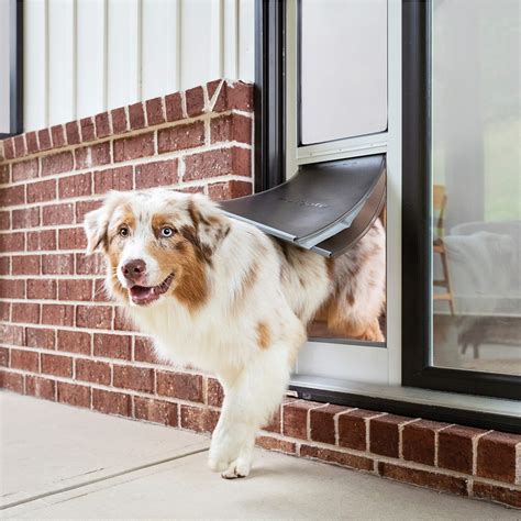 In window dog door. For free design, purchase and installation help with windows and doors, call us anytime between 9 a.m. - 9 p.m. EST at 1-833-HDAPRON (432-7766). Learn how to choose a dog door that works best for you and your pet. Use this guide for information on the types of dog doors and their features. 
