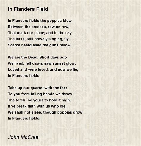 Read Online In Flanders Fields The Story Of The Poem By John Mccrae By Linda Granfield