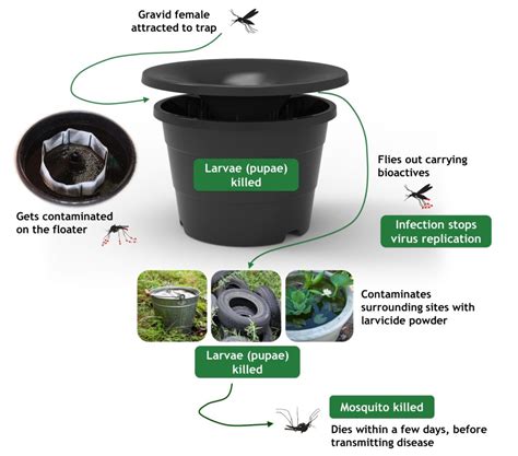 In2care mosquito trap. In2Care® Mosquito Trap is the first Trap that uses a biological control agent to kill mosquitoes. It deploys an US-EPA-approved fungus that kills the mosquito several days after infection and can prevent the insect from transmitting disease by blocking Dengue virus replication. The Trap larvicide is an US-EPA-approved and 