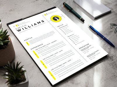 InDesign CV Template by Design My CV on Dribbble