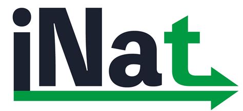 Inat Halı ve Koltuk Yıkama