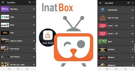 Inat box