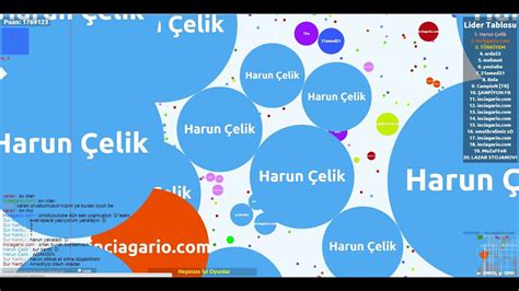 Inci agar