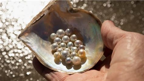 Inciler Halı ve Koltuk Yıkama