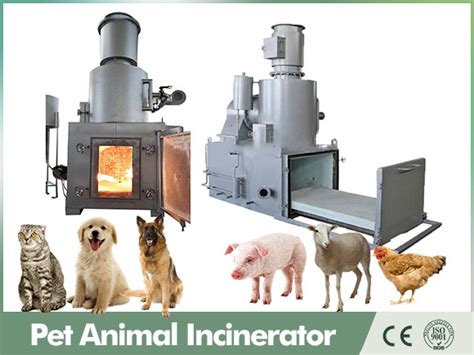 Incinerator dog cremation.  Here&rsquo;s a step by step guide to understanding pet cremat...