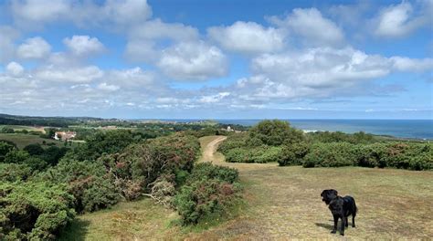 Incleboro Fields C&MC arrival plus North Norfolk Railway …