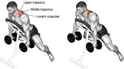 Incline Dumbbell Shrug: Muscle Worked, Tips & Alternate - Fit Life …