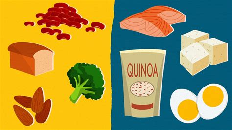 Incomplete vs Complete Protein What s the Difference Everyday Health