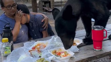 Increíble: madre protege a su hijo mientras un oso negro irrumpe en su festejo y todo queda en video