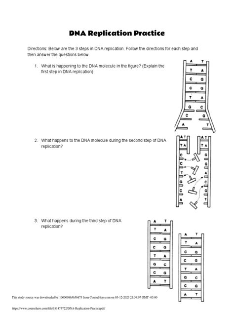 Incredible Dna Replication Practice Worksheet 2023 Alec Worksheet