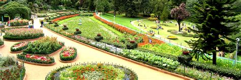 Incredible India Government Botanical Garden