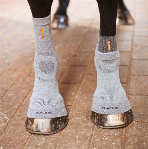 Incrediwear - Esileht / Pood. Näitan 1–30 tulemust 34-st. Incrediwear hobustele. Incrediwear Equine kaela tugiside. 39.00 €. Incrediwear hobustele. Incrediwear EQUINE tsirkulatsiooni kabjasokid 2tk/pakis. 75.00 €. Incrediwear hobustele.