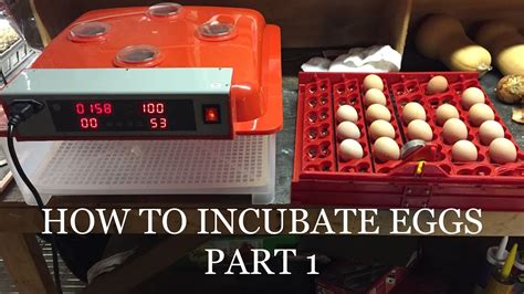 Incubation At Home