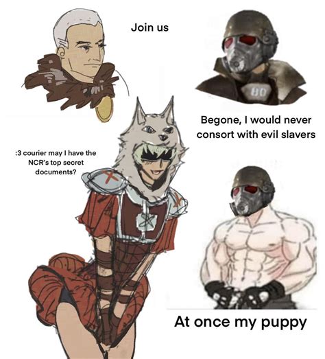 Inculta_Tnstbt Leaks (SEX) 💦 213 Vids