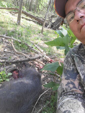 This was a highly unsatisfying experience, and I would not recommend the Independence Ranch for single day hog hunts. Date of experience: March 2023. Ask Uropilot about Independence Ranch Hog Hunting. 1 Thank Uropilot . This review is the subjective opinion of a Tripadvisor member and not of Tripadvisor LLC. Tripadvisor performs checks on ...