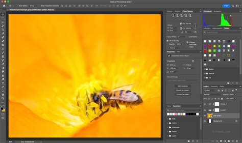 Access Adobe photoshop cc 2023 19.1.5 for independent.