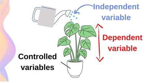 Independent dependent and controlled variables examples.  ndependent variab...