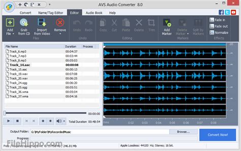 Independent access of the portable Av Recording Editor 9.1