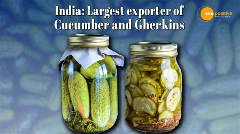 India Becomes Pickle King Of The World!