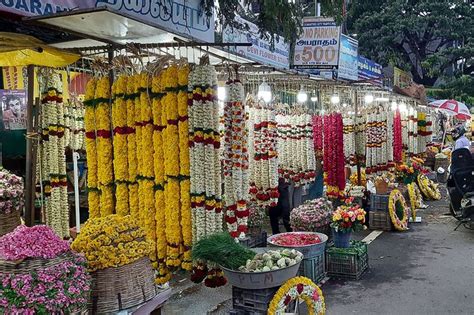 India Flower Onlyfans Leak