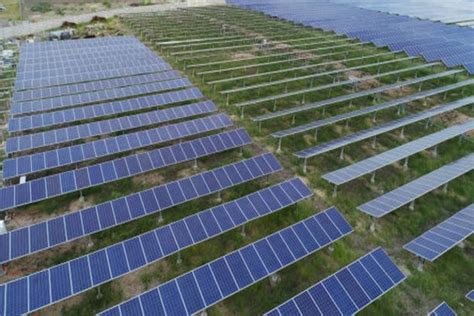 India adds 10GW of solar PV in 2024, brings total installed capacity …