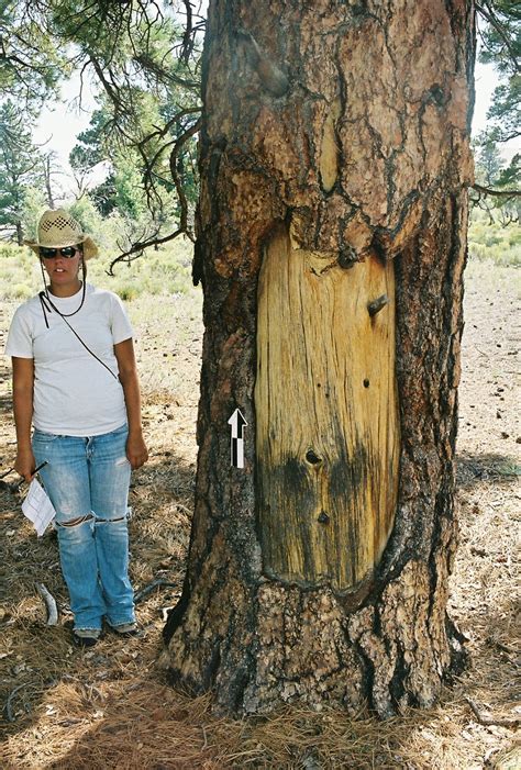 Indian Grove History Colorado