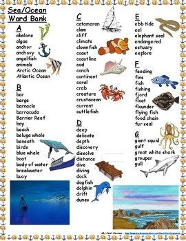 Indian Ocean Words - 400+ Words Related to Indian Ocean