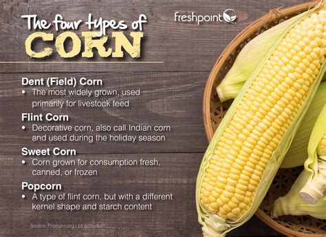 Dent corn is also used to make moonshine and bourbon. The majority of corn grown in the U.S. is yellow dent corn, though you may also find dent corn in a range of colors. 2. Sweet Corn. Sweet corn .... 