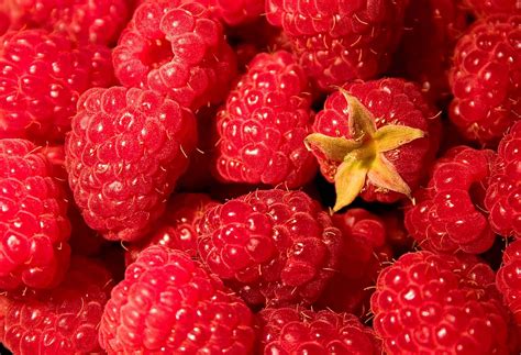 Raspberries, (pronounced- Rasberries) a beautiful fruit to look at, but even more delicious to eat! Every millennial's go-to healthy snack.. 