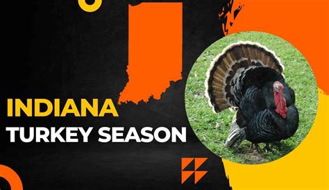 Indiana Turkey Season 2024 - hunting-en.com