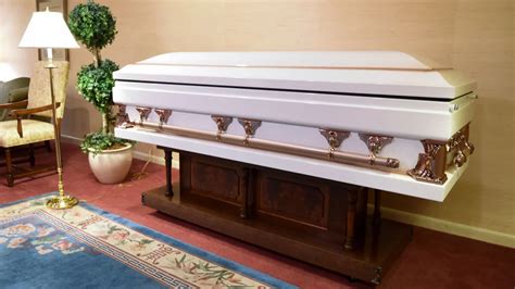Indiana funeral director pleads guilty to 40 theft counts after decomposing bodies found