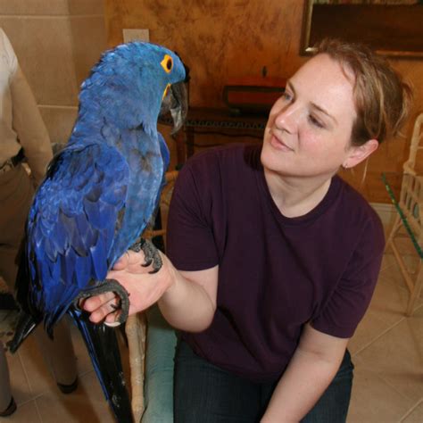 Macaw Parrots are sensitive to air pollution,