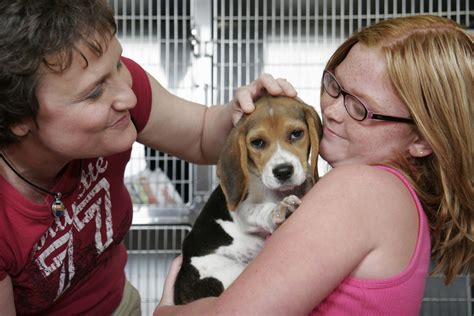 Indianapolis animal care services. Indianapolis-based Lilly Endowment Inc. has awarded a $1 million grant to Friends of Indy Animals in support of a new Indianapolis Animal Care Services facility on the city’s near east side. 