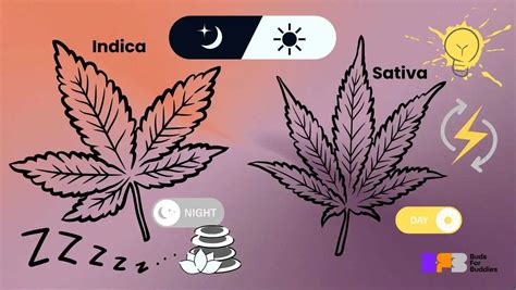 Indica Dlower Onlyfans Leak
