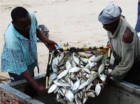 Indigenous River Fishing Methods in Kenya - Taylor