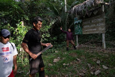 Indigenous community wins, then loses, path to reclaim ancestral rainforest land in Peru