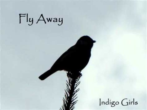 Indigo Girls - Fly Away - lyrics