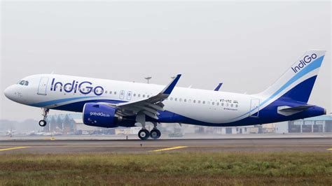 Indigo airlines india. With its top-notch connectivity, on-time performance, hassle-free travel, and courteous service, IndiGo has built its reputation as one of India's most reliable airlines. From hassle-free flight booking to smooth journeys, IndiGo makes flying effortless in all possible ways. 