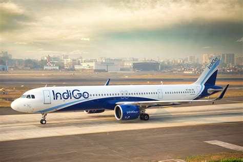 Indigo india