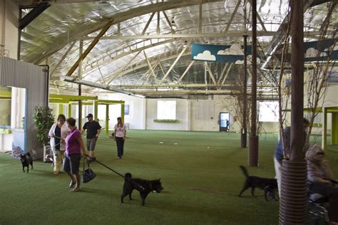 Indoor dog parks. 5 Pawesome Indoor Dog Parks in Minnesota With four furbulous seasons, Minnesota breeds a whole lotta outdoor enthusiasts. From hitting the hiking trails to skijoring , we … 