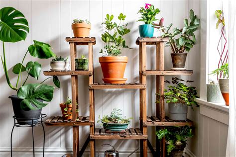 Indoor garden. Plants are a great addition to any home, and caring for plants is an enjoyable hobby for many people. Indoor plants allow year-round access to gardening, and can even improve air q... 